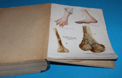 Praktická zdravověda Biologie člověka zdravého i nemocného