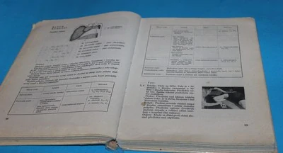 Vyšetřování hybnosti I svalový test Vyšetření zkrácených svalů, Vyšetření hypermobility
