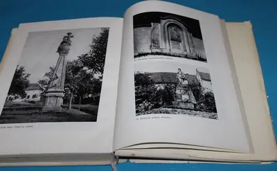 Švábenice. Rod pánů ze Švábenic