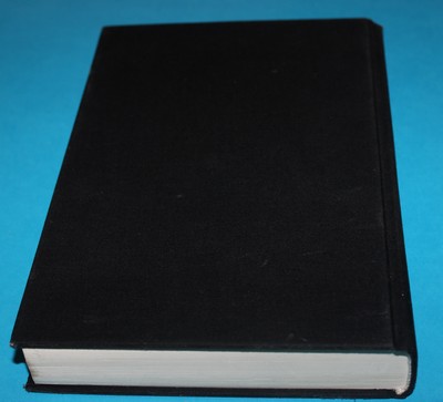 Mein Kampf (Můj boj) 2000