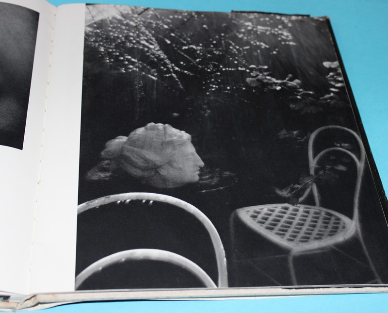 Sudek (Josef Sudek) - Řezáč