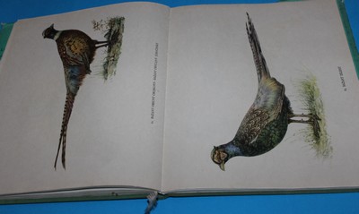 Naše lovné ptactvo