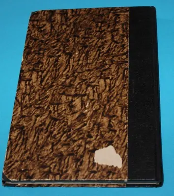 Morfium životopisný román