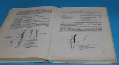 Vyšetřování hybnosti I svalový test Vyšetření zkrácených svalů, Vyšetření hypermobility
