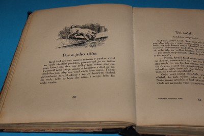 Najkrajšie rozprávky sveta (slovensky)