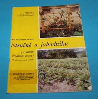 Stručně o jahodníku a jiném drobném ovoci