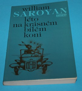 Léto na krásném bílém koni