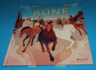 Koně Divocí a zkrocení