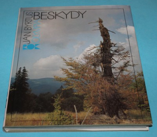 Beskydy - Byrtus