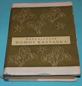 Domov Kaštanka - Klánová