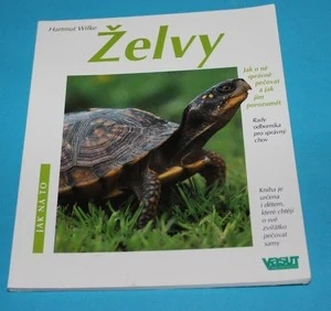 Želvy jak na to