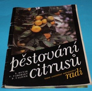 Pěstování citrusů SZN radí