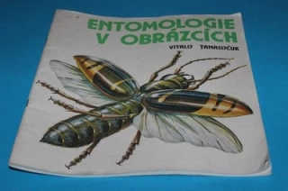 Entomologie v obrázcích