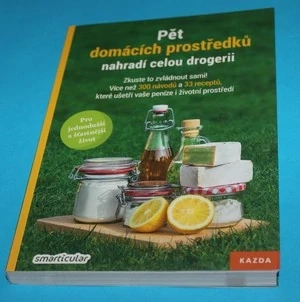 Pět domácích prostředků nahradí celou drogerii 