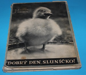 Dobrý den, sluníčko