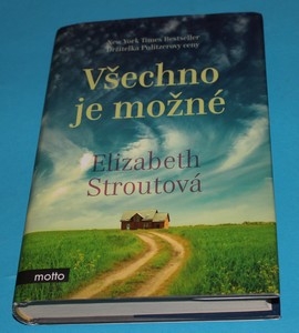 Všechno je možné - Strout