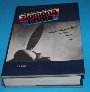 Zlomená křídla - Čejka