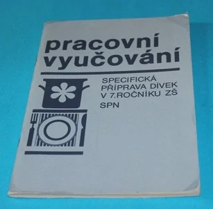 Pracovní vyučování Specifická příprava dívek v 7. roč. ZŠ