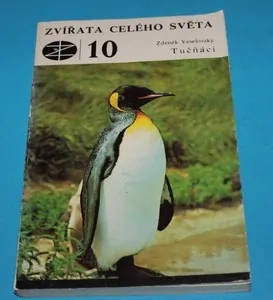 Zvířata celého světa 10 Tučňáci