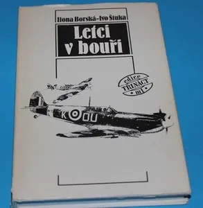Letci v bouři